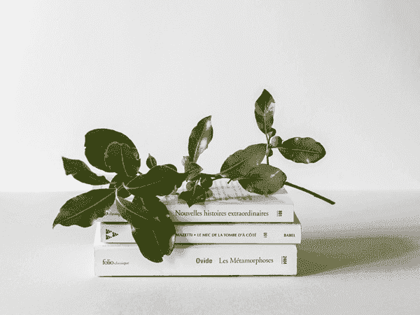 ddos攻击在哪能买到